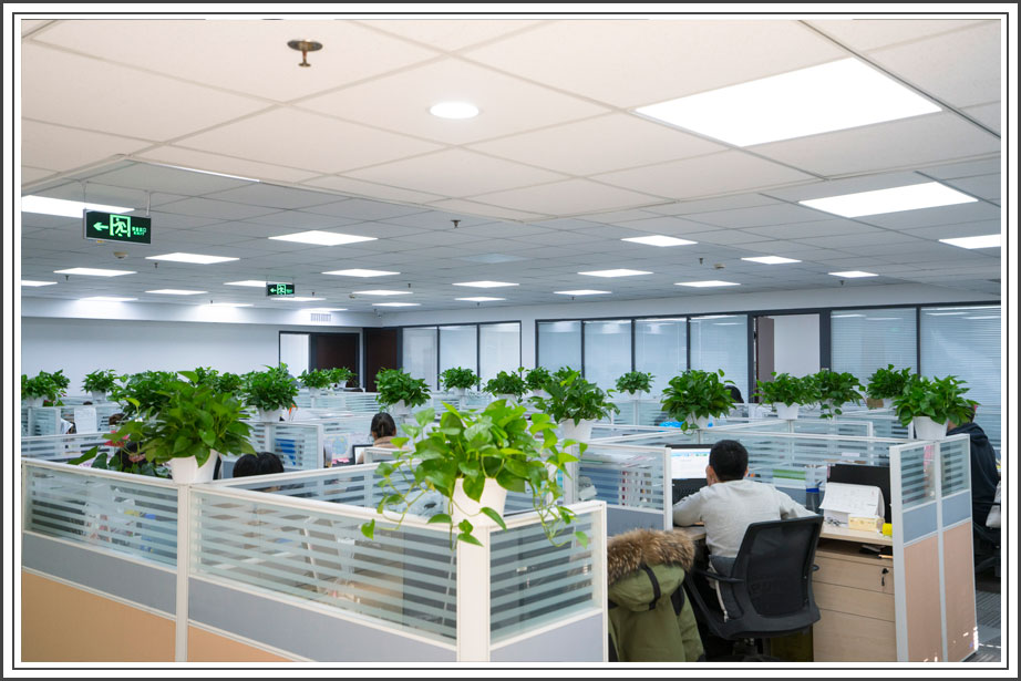 Office 4
