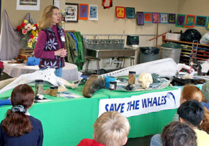 Save The Whales Presentation
