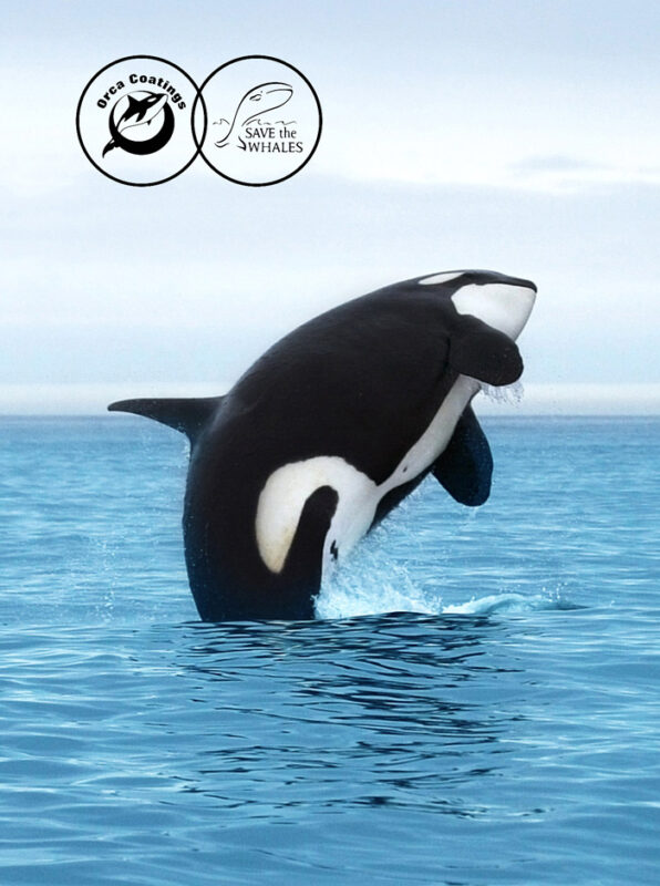 Save The Whales Orca