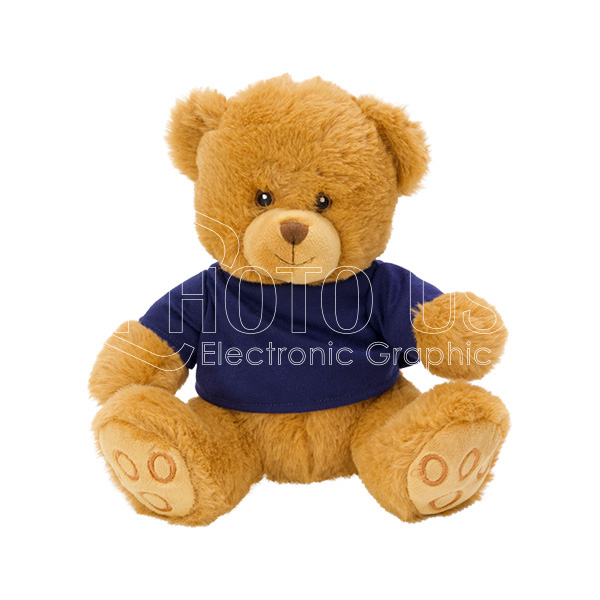 Teddy-bear-600-2-1.jpg