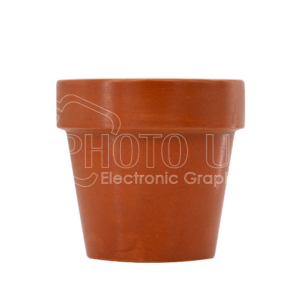 Terracotta Flowerpot