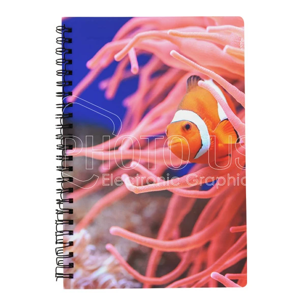 notebook600-3.webp