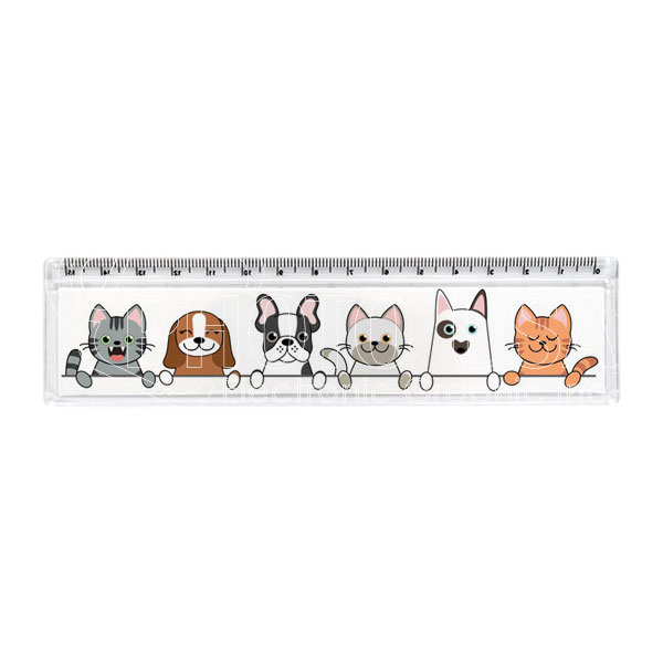 ruler600-3-1-1.jpg